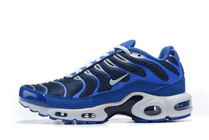 Nike Air Max Plus Arctic Chill