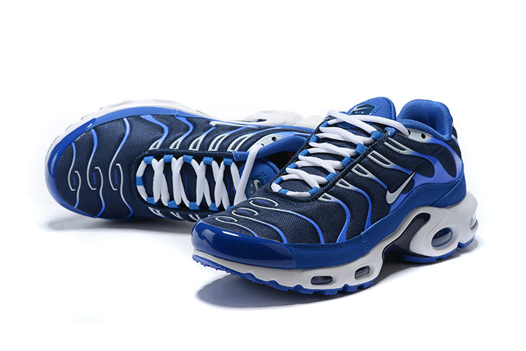 Nike Air Max Plus Arctic Chill